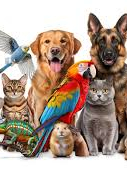Pet Supplies