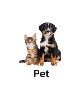 Pet Animals