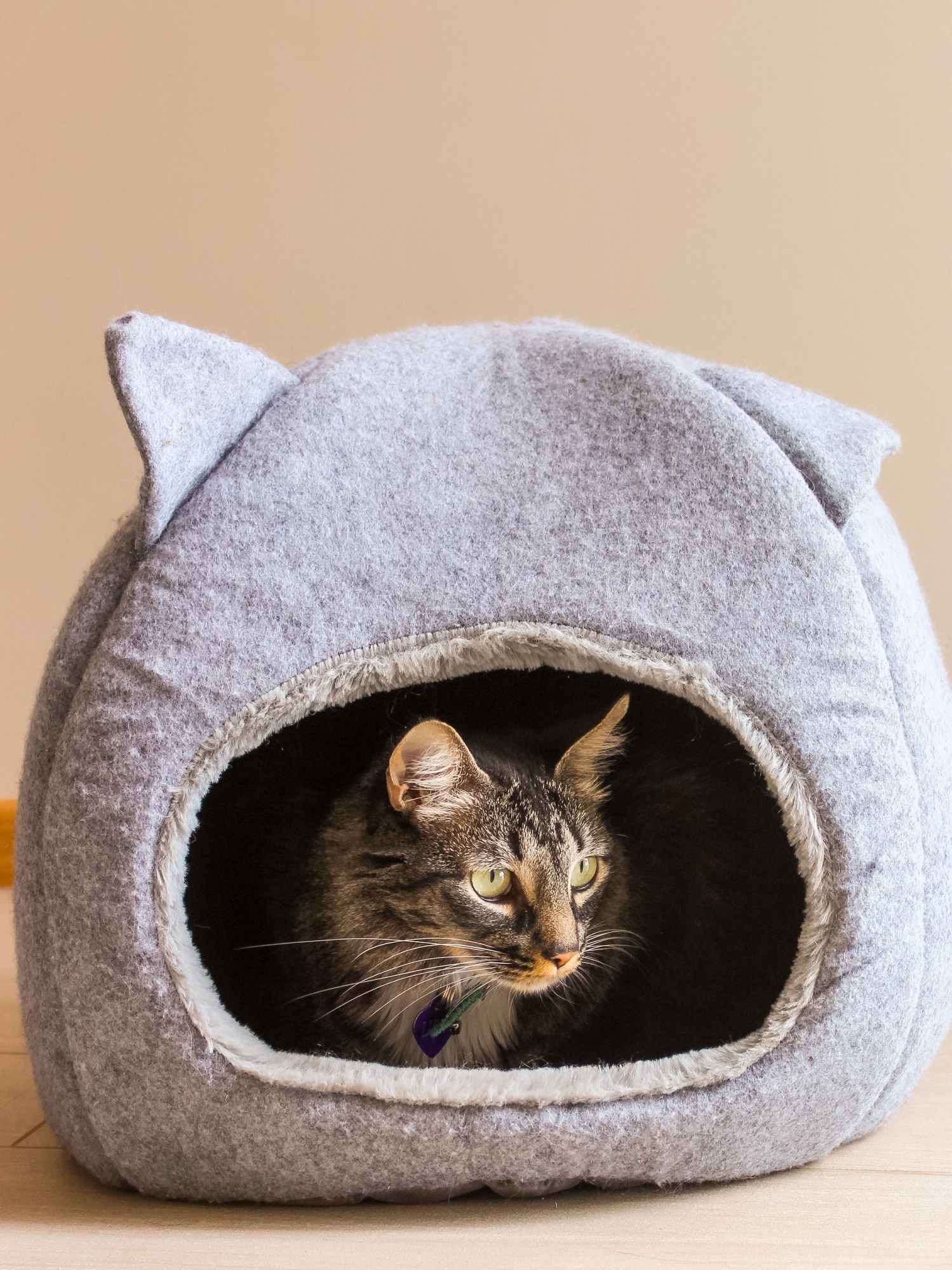 Beds & Comfort