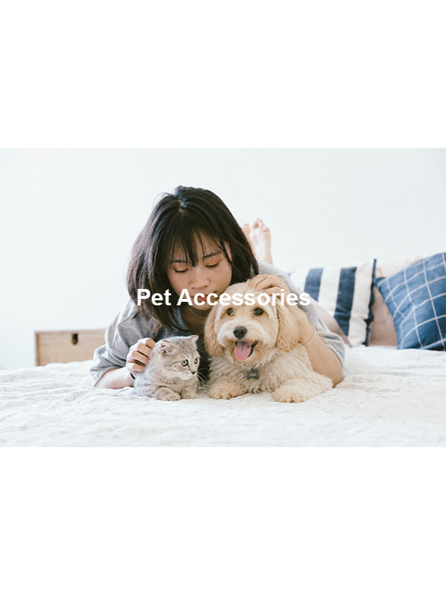 Pet Accessories